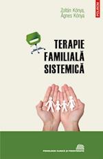 Terapie familiala sistemica