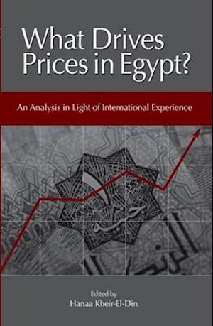 What Drives Prices in Egypt?