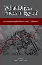 What Drives Prices in Egypt?