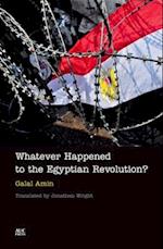 Whatever Happened to the Egyptian Revolution?