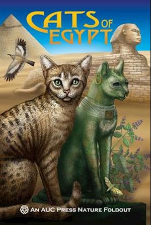 Cats of Egypt