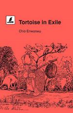 Tortoise in Exile