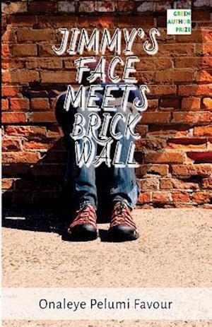 Jimmy's Face Meets Brick Wall