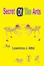 Secret of the Ants