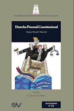 DERECHO PROCESAL CONSTITUCIONAL