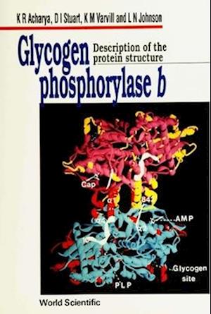 Glycogen Phosphorylase B: Description Of The Protein Structure