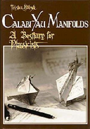 Calabi-yau Manifolds: A Bestiary For Physicists