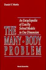 Many-body Problem, The: An Encyclopedia Of Exactly Solved Models In One Dimension (3rd Printing With Revisions And Corrections)