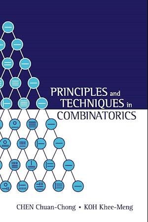 Principles And Techniques In Combinatorics