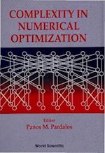 Complexity In Numerical Optimization