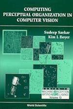 Computer Perceptual Organization In Computer Vision