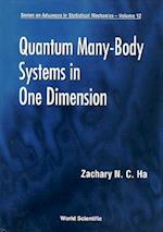 Quantum Many-body Systems In One Dimension