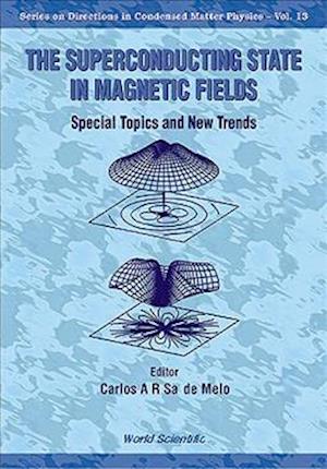 Superconducting State In Magnetic Fields, The: Special Topics And New Trends
