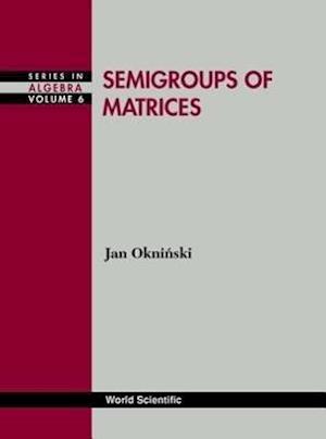 Semigroups Of Matrices