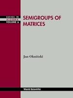 Semigroups Of Matrices