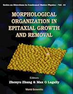 Morphological Organization In Epitaxial Growth And Removal