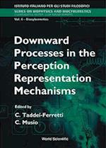 Downward Processes In The Perception Representation Mechanisms - Proceedings Of The International School Of Biocybernetics