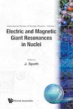 Electric And Magnetic Giant Resonances In Nuclei