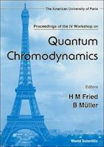 Quantum Chromodynamics - Proceedings of the IV Workshop