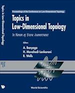 Topics in Low Dimensional Topology