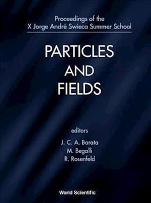 Particles And Fields - Proceedings Of The X Jorge Andre Swieca Summer School