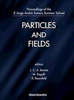 Particles And Fields - Proceedings Of The X Jorge Andre Swieca Summer School