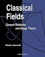 Classical Fields: General Relativity And Gauge Theory