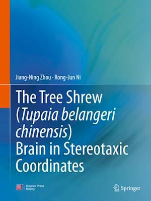 Tree Shrew (Tupaia belangeri chinensis) Brain in Stereotaxic Coordinates