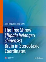 Tree Shrew (Tupaia belangeri chinensis) Brain in Stereotaxic Coordinates