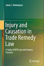 Injury and Causation in Trade Remedy Law