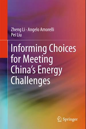 Informing Choices for Meeting China's Energy Challenges