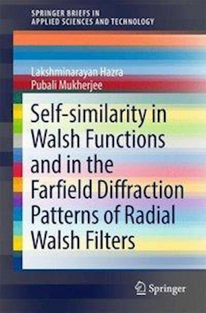 Self-similarity in Walsh Functions and in the Farfield Diffraction Patterns of Radial Walsh Filters