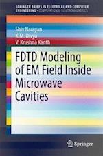 FDTD Modeling of EM Field inside Microwave Cavities