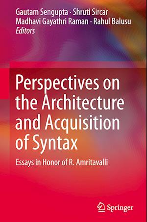 Perspectives on the Architecture and Acquisition of Syntax