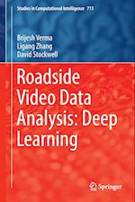 Roadside Video Data Analysis