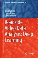 Roadside Video Data Analysis
