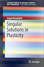 Singular Solutions in Plasticity