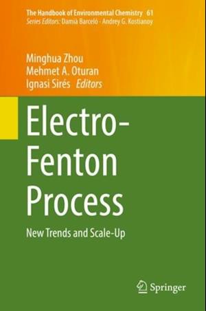 Electro-Fenton Process