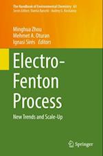 Electro-Fenton Process