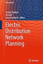 Electric Distribution Network Planning