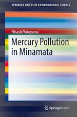 Mercury Pollution in Minamata