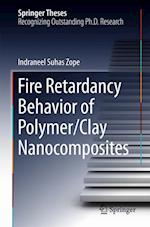 Fire Retardancy Behavior of Polymer/Clay Nanocomposites