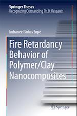 Fire Retardancy Behavior of Polymer/Clay Nanocomposites