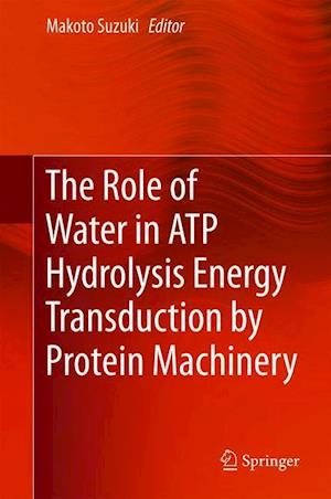 The Role of Water in ATP Hydrolysis Energy Transduction by Protein Machinery