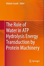 Role of Water in ATP Hydrolysis Energy Transduction by Protein Machinery