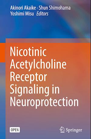 Nicotinic Acetylcholine Receptor Signaling in Neuroprotection