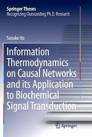 Information Thermodynamics on Causal Networks and its Application to Biochemical Signal Transduction