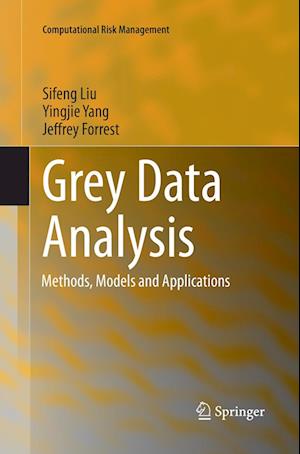 Grey Data Analysis