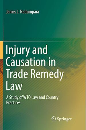 Injury and Causation in Trade Remedy Law