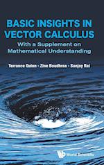 Basic Insights In Vector Calculus: With A Supplement On Mathematical Understanding